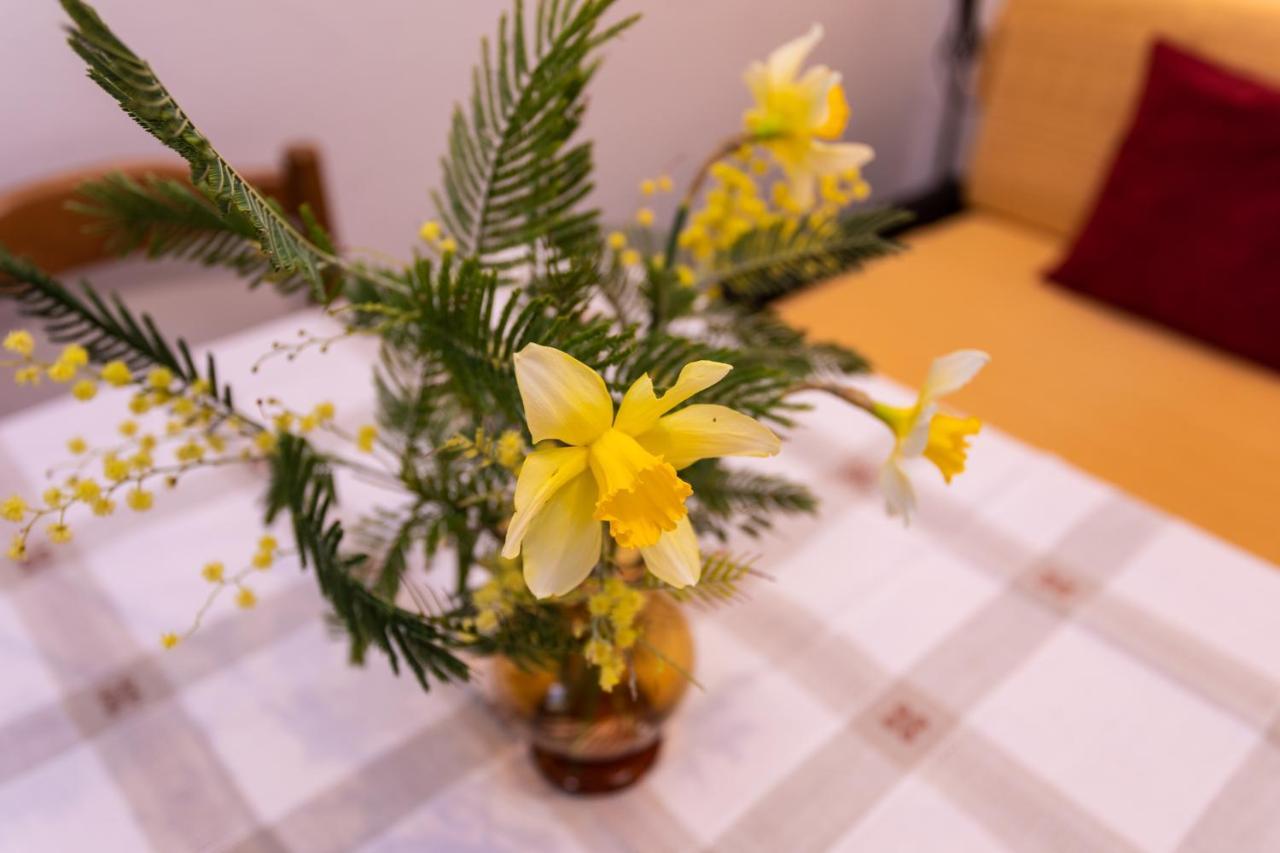 Rooms & Studio Apartment Mira Baška Zewnętrze zdjęcie